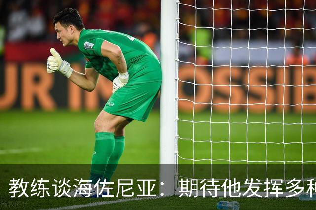 教练谈海佐尼亚：期待他发挥多种进攻潜力